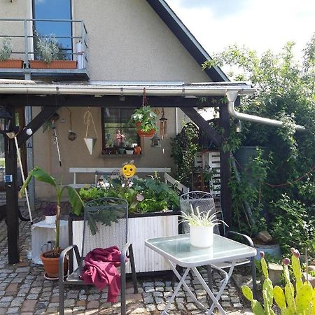Ferienwohnung Auf Dem Land Rochlitz Eksteriør bilde