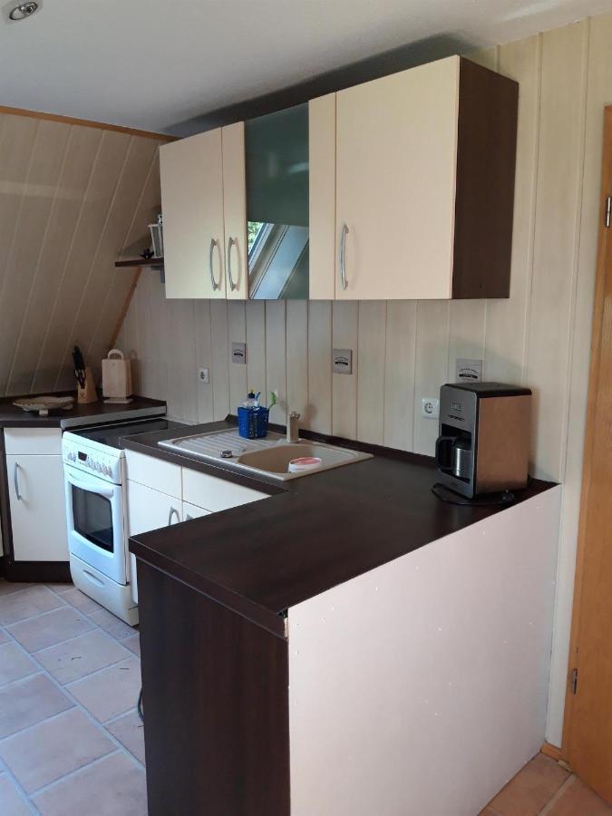 Ferienwohnung Auf Dem Land Rochlitz Eksteriør bilde