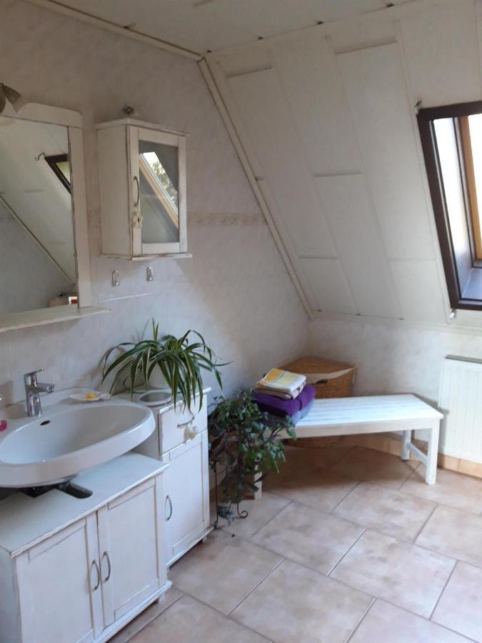 Ferienwohnung Auf Dem Land Rochlitz Eksteriør bilde